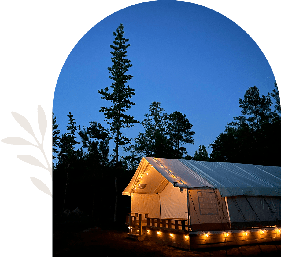 Glamping tent with lights in forest setting.