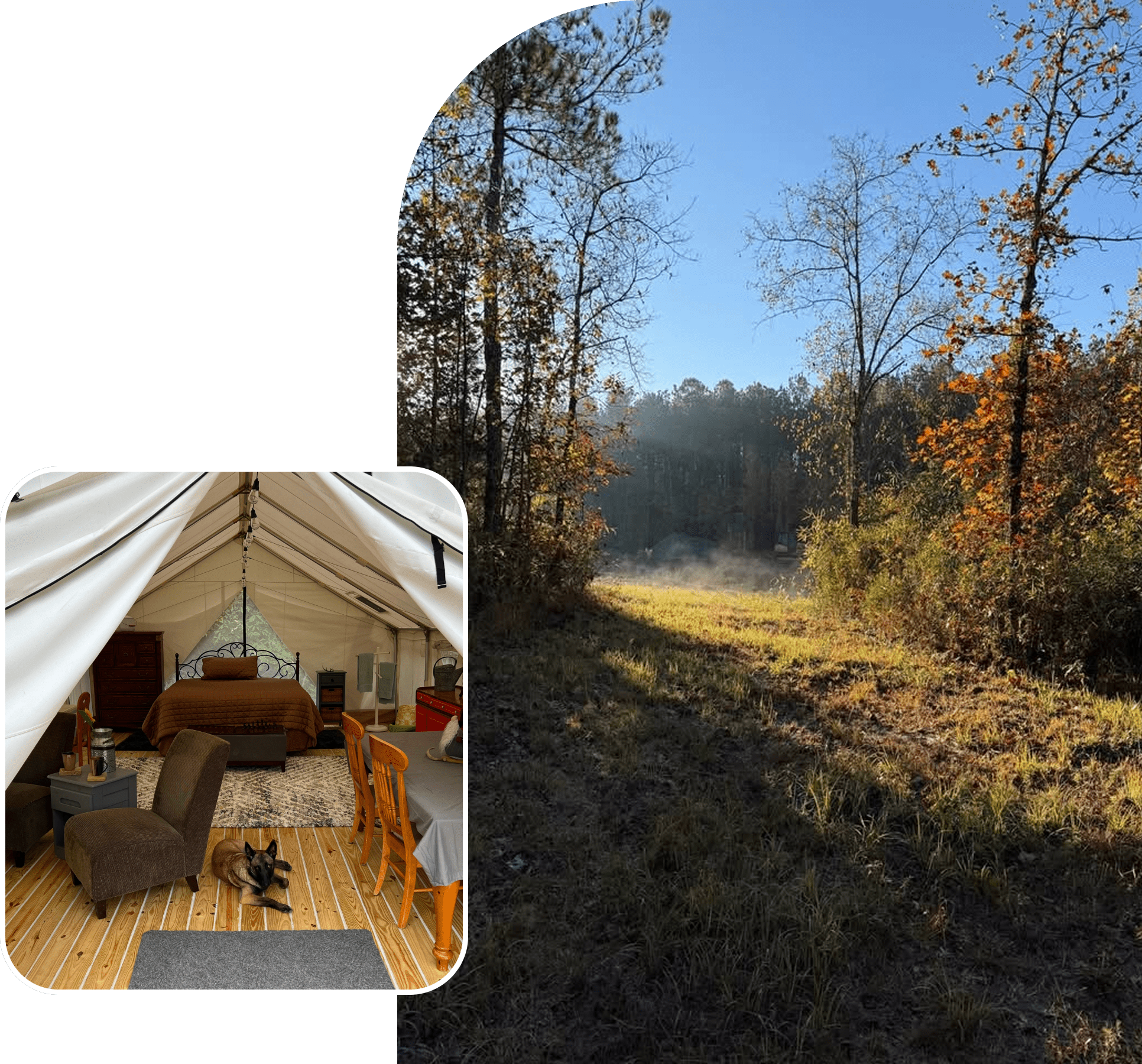 Forest path with adjacent cozy tent interior.
