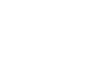 Stewardship